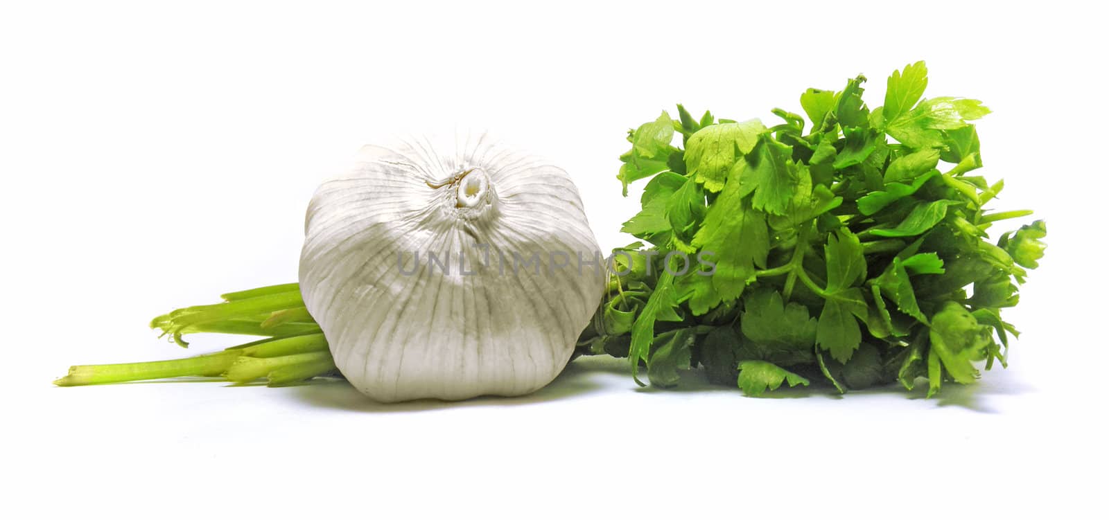 Fresh garlic with green parsley isolated on white   
