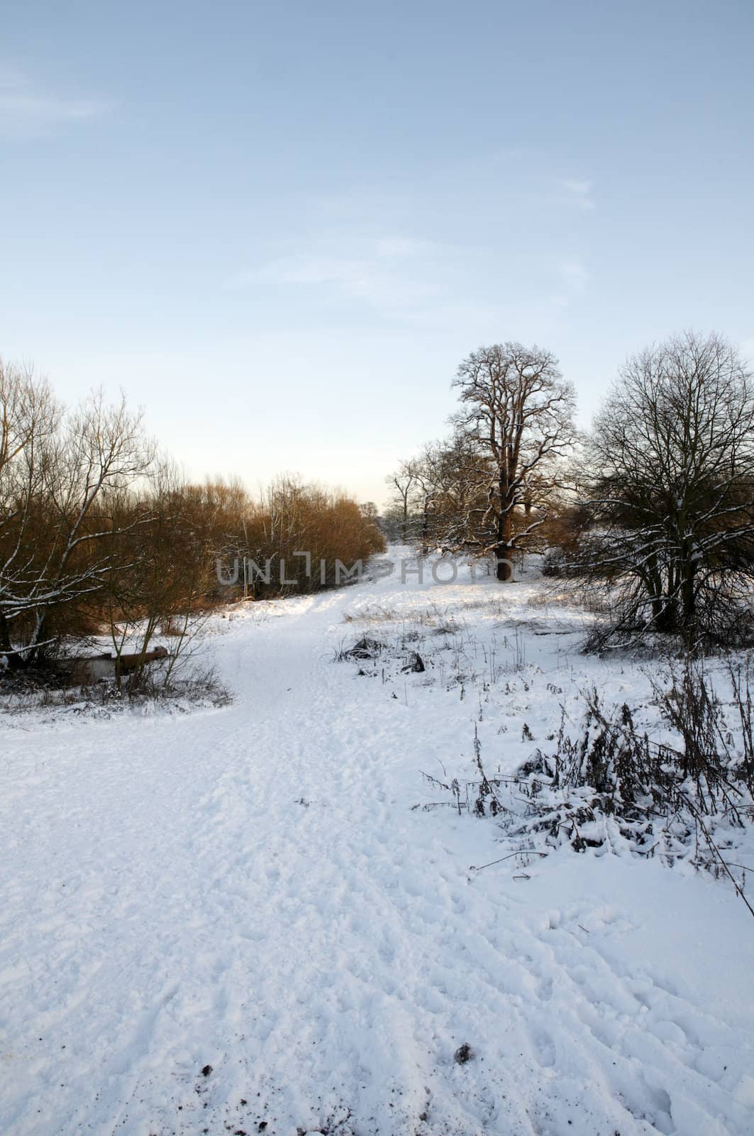 A view of a park covered in snow on the ground and trees