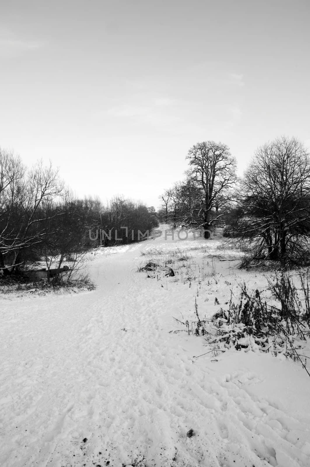 A black and white image of a park in winter