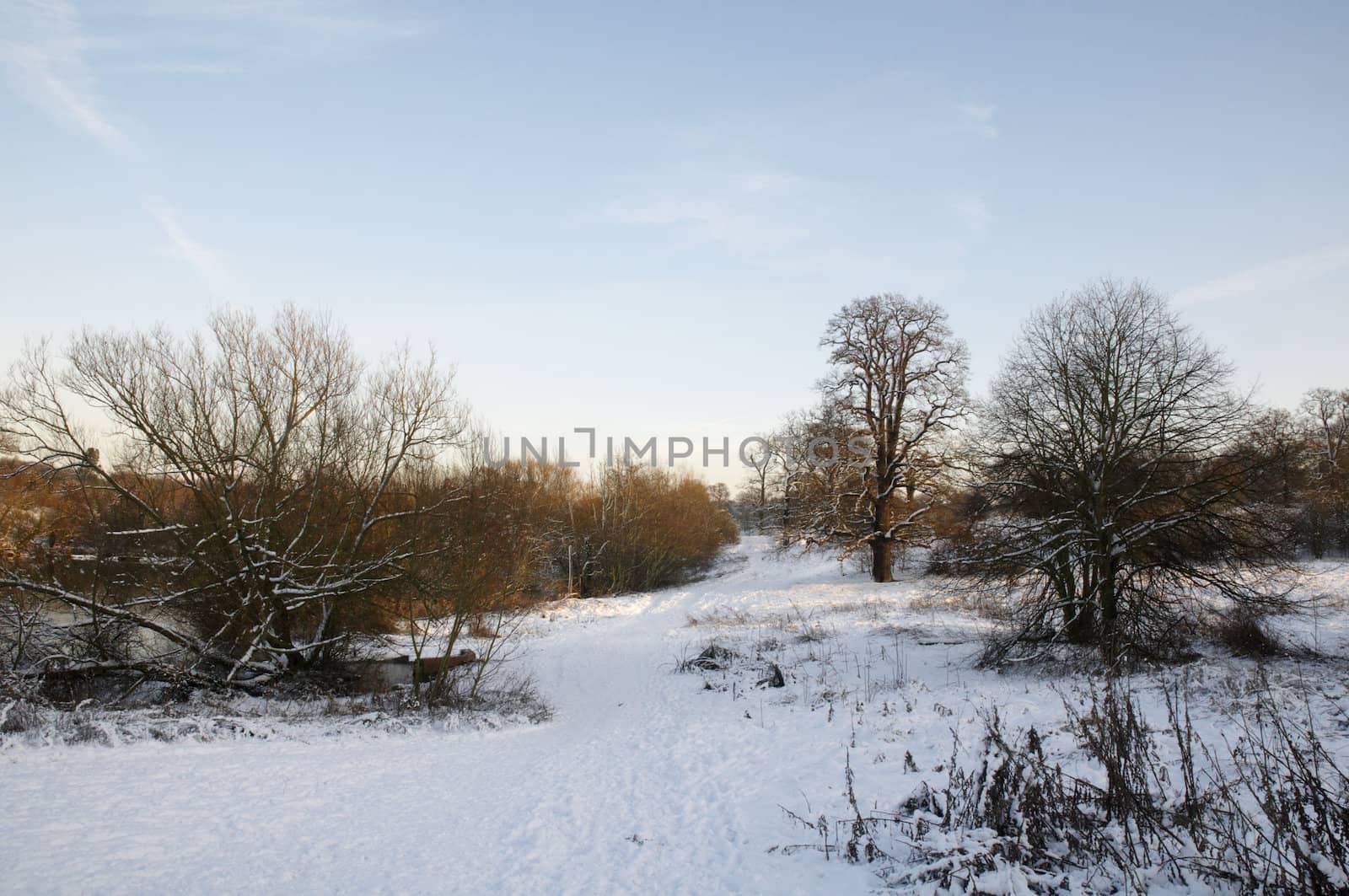 A view of a park covered in snow on the ground and trees