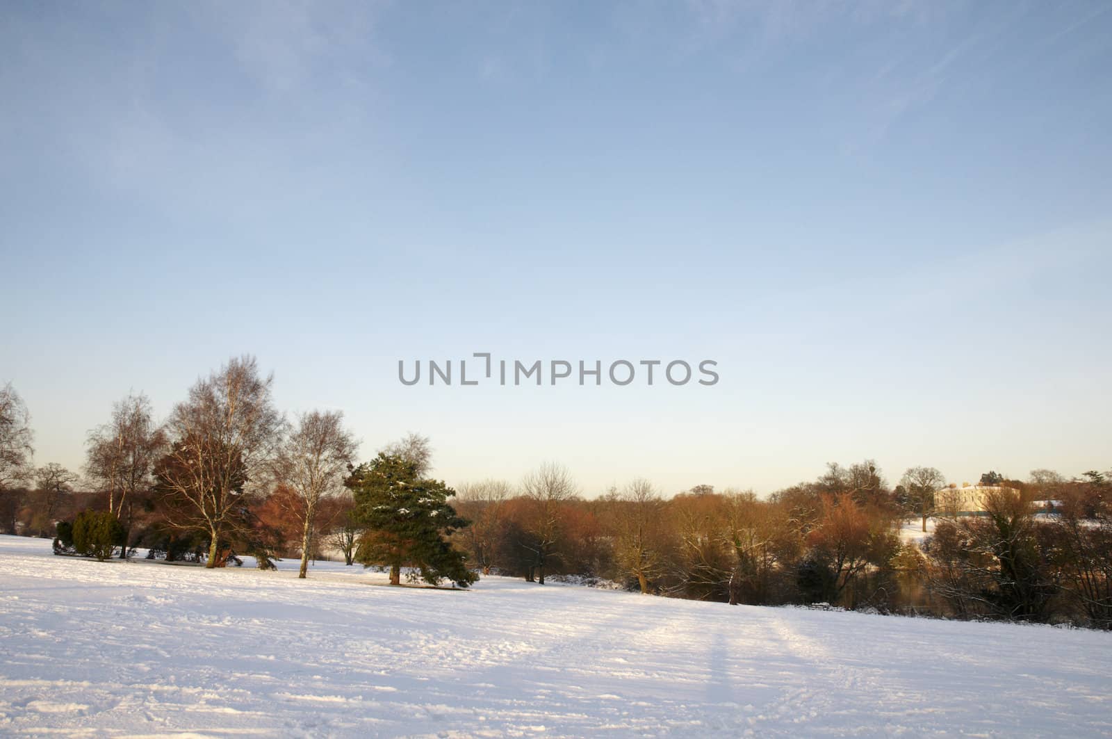 A view of a park covered in snow on the ground and trees