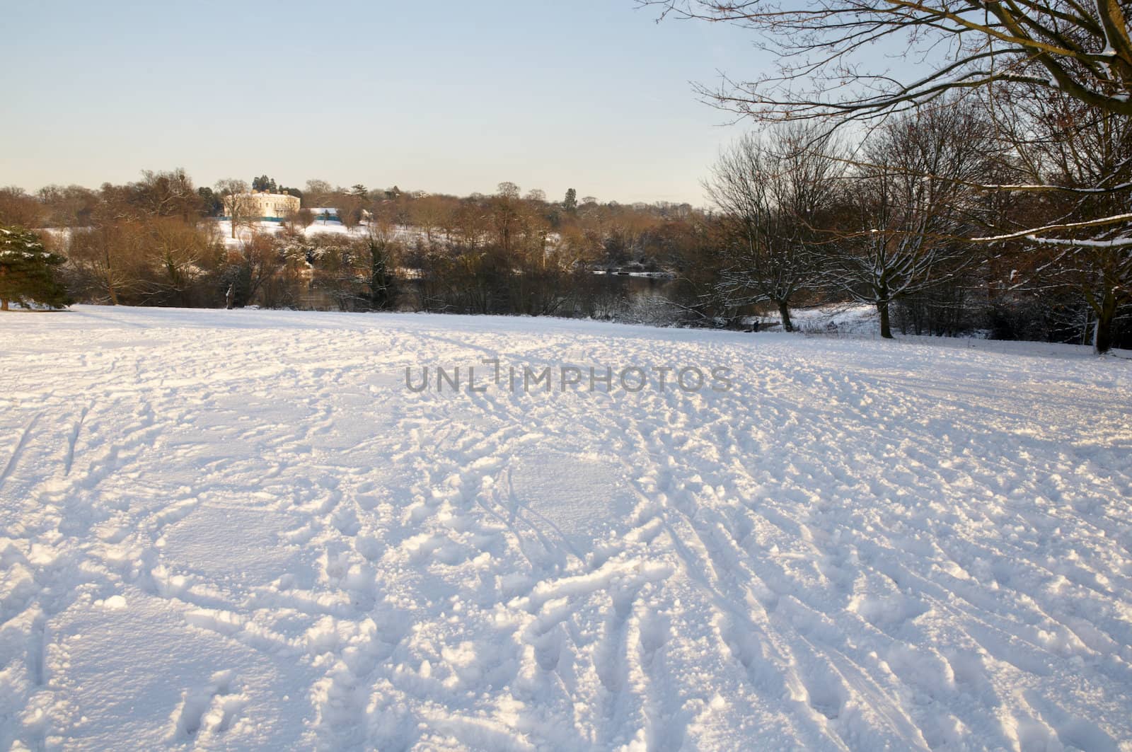 A view of a park covered in snow on the ground and trees