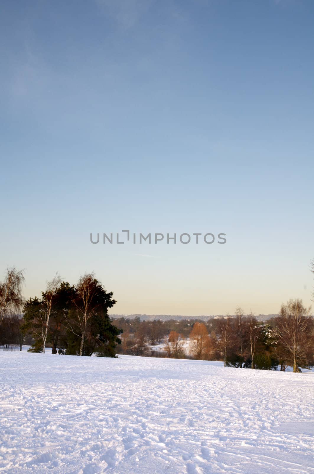 A view of a park covered in snow on the ground and trees