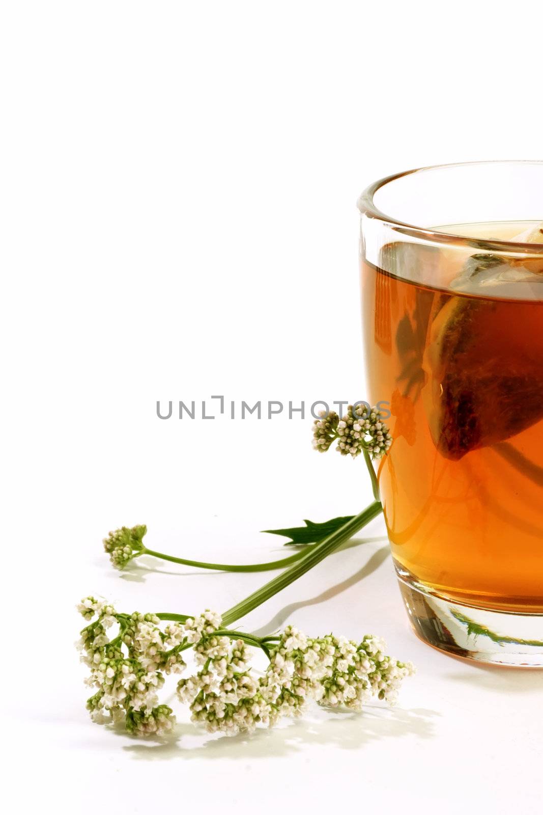 Herbal tea with teabag in a glass and valerian on white background