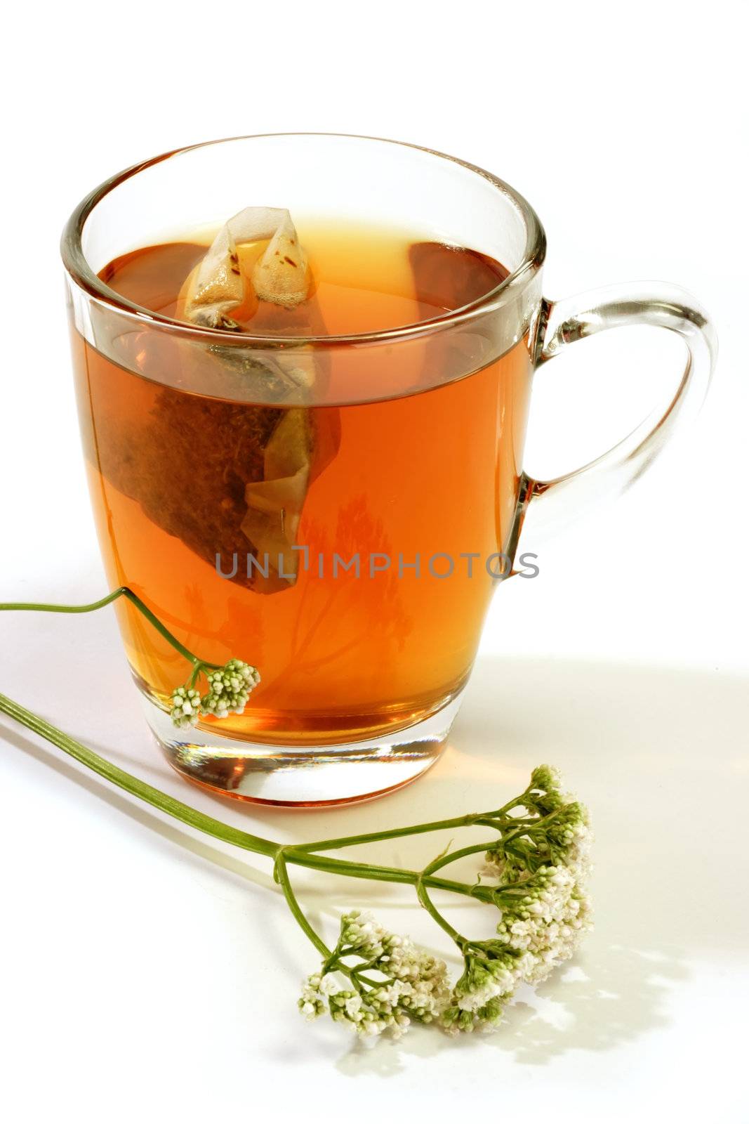 Herbal tea in a glass with teabag and valerian on bright background