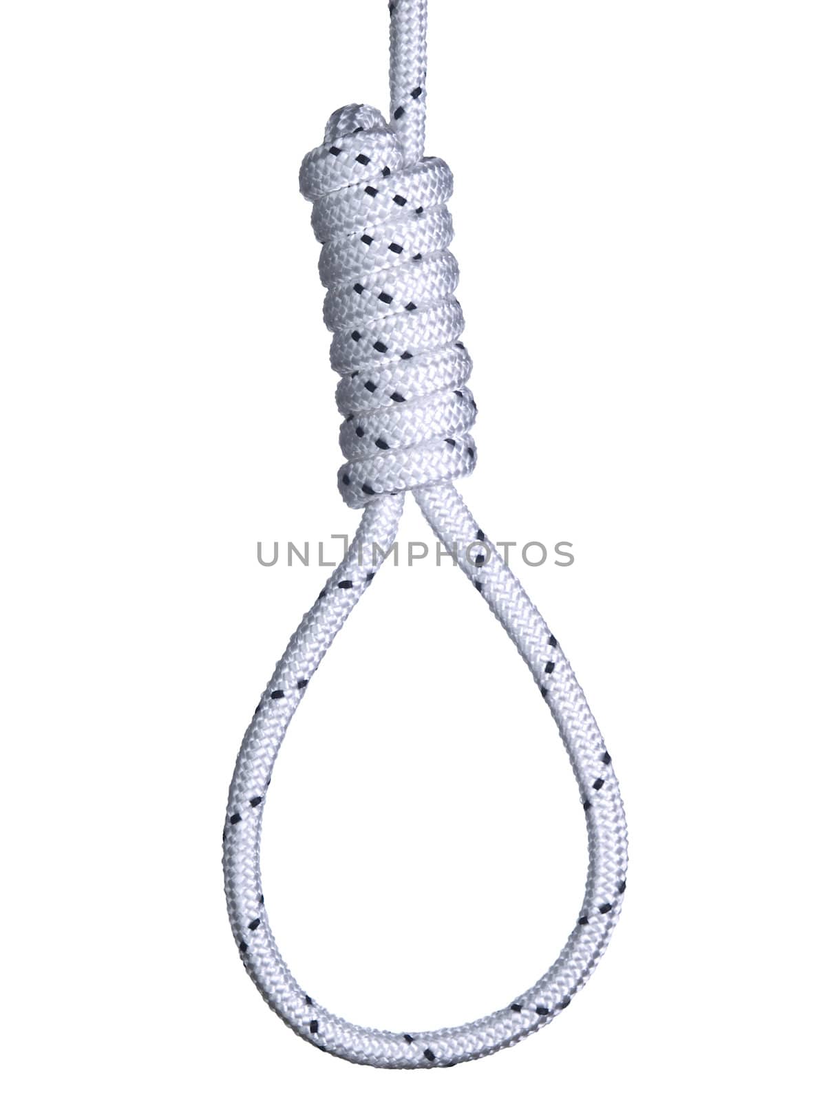 A hangman's noose isolated over a white background.