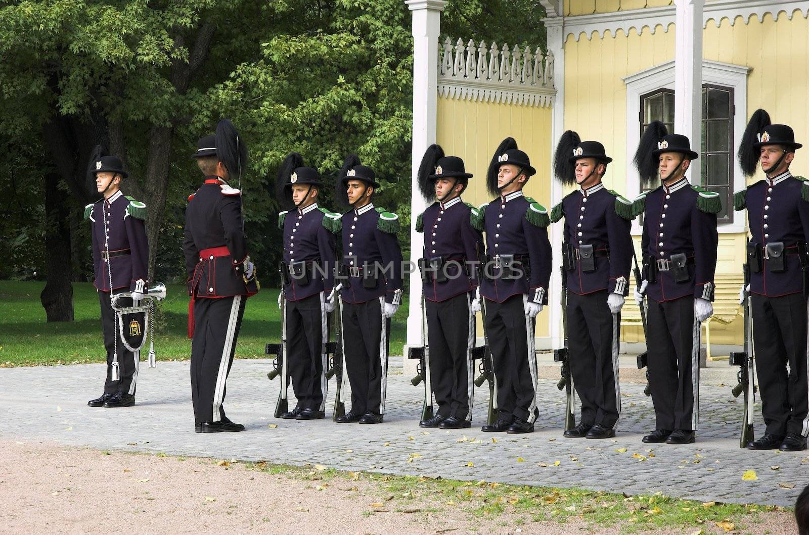 Royal Norwegian Guard by Espevalen