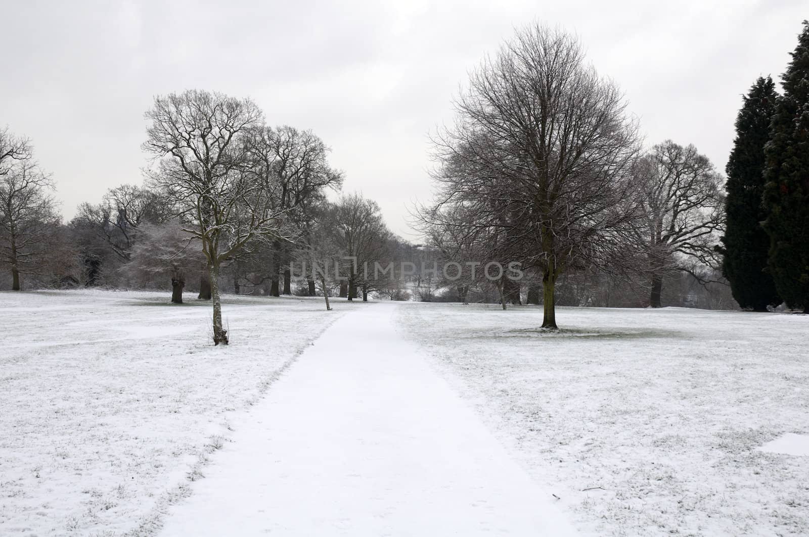 A footpath covered in snow with trees in the background