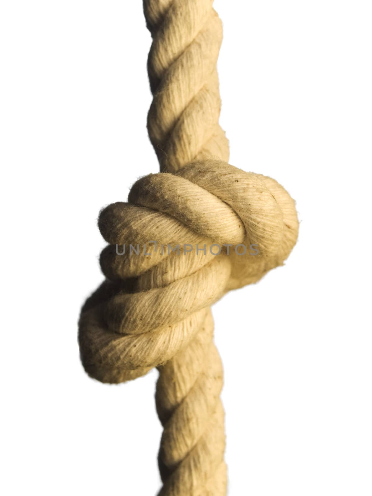 Close up of a knot on a rope. Isolated on white.