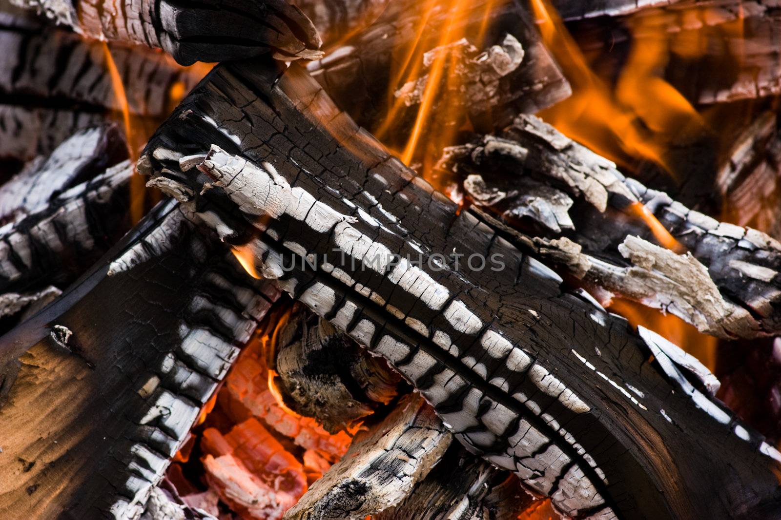 Closeup of burning camping bonfire