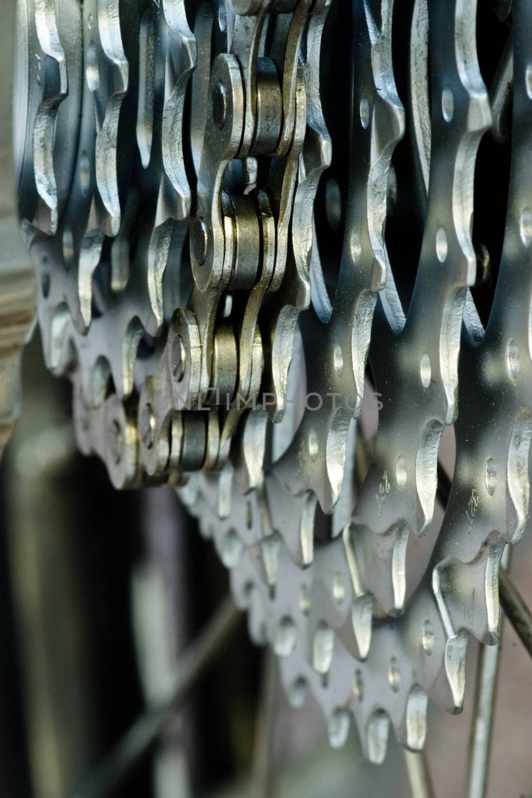 Rear mountain bike cassette with chain close-up, selective focus