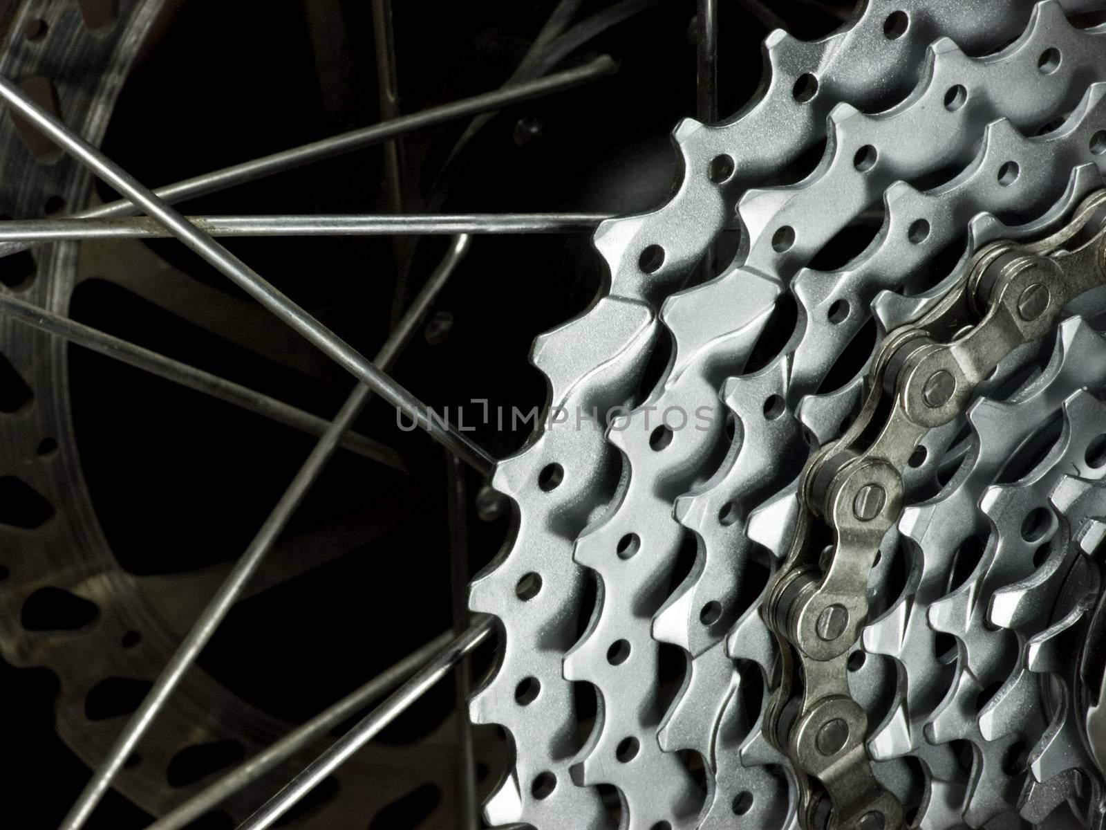 Rear mountain bike wheel detail with cassette, chain, spokes and brakes disc rotor close-up