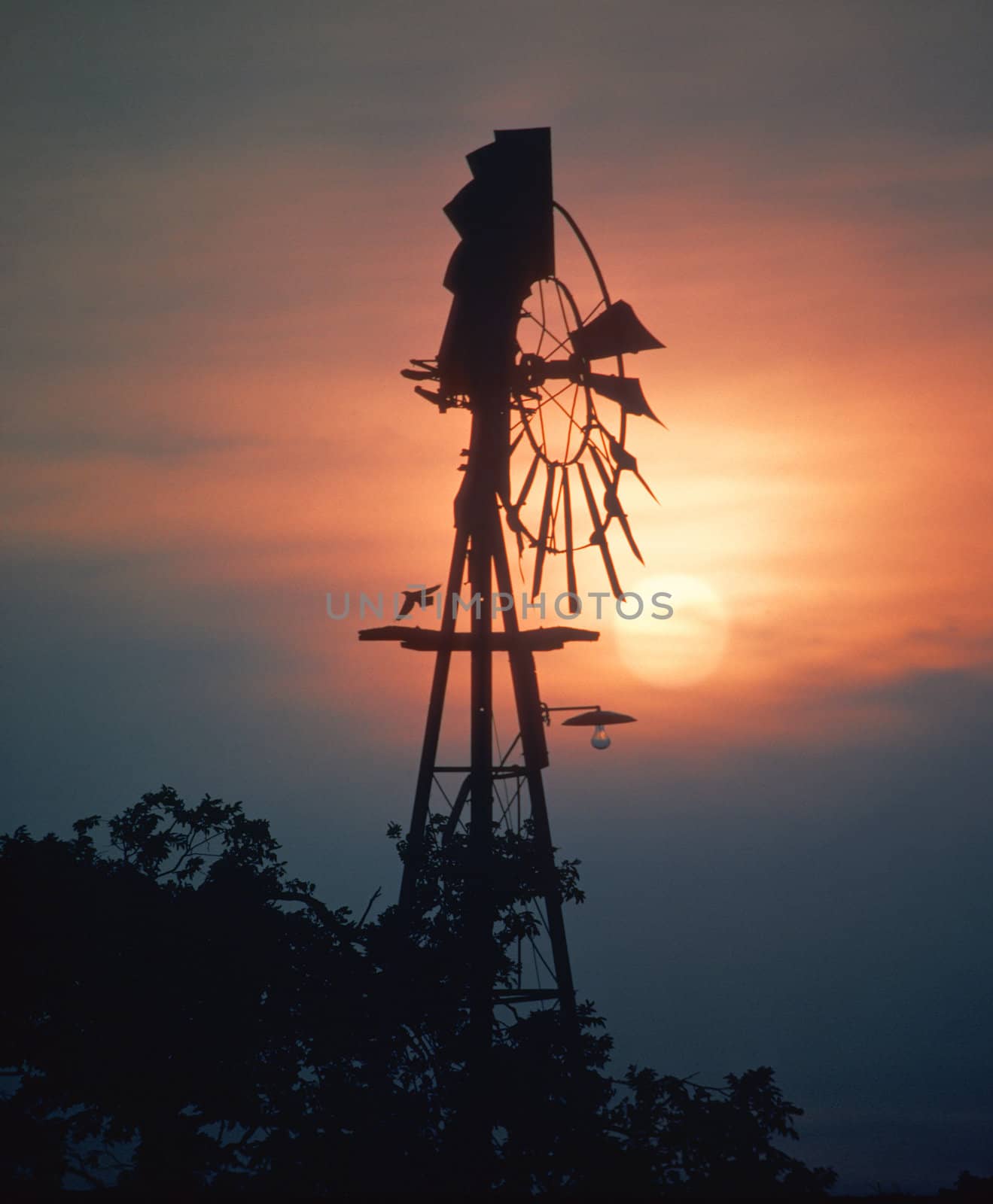 silhouetted windmill with bird at sunset