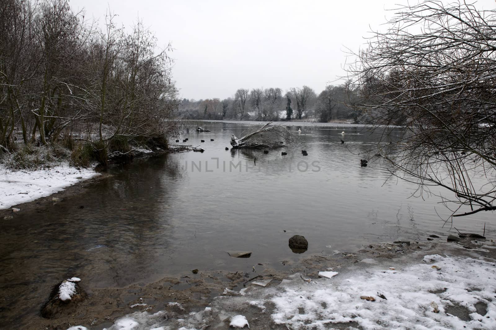 A view of a lake in winter with snow