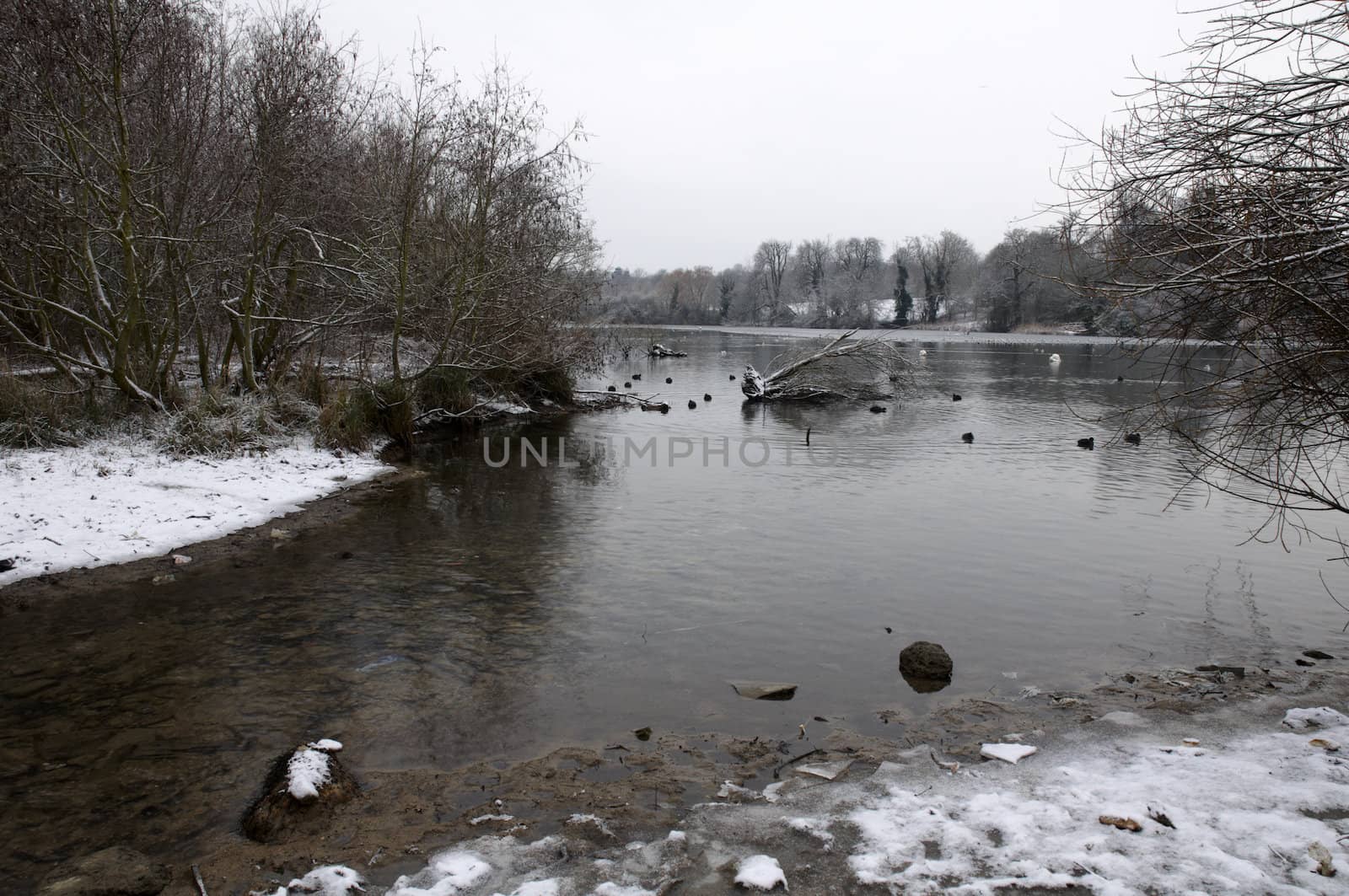 A view of a lake in winter with snow