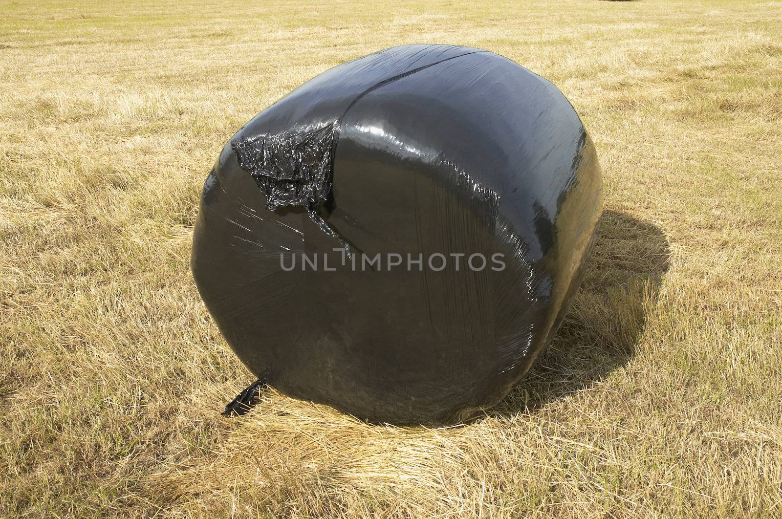 A hay bale.covered in black plastic in a field