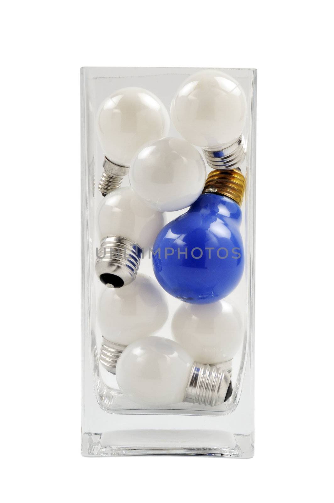 A figurative picture of light bulbs in a glass pot. One blue bulb with white lamps. One bright mind/idea in a crowd.