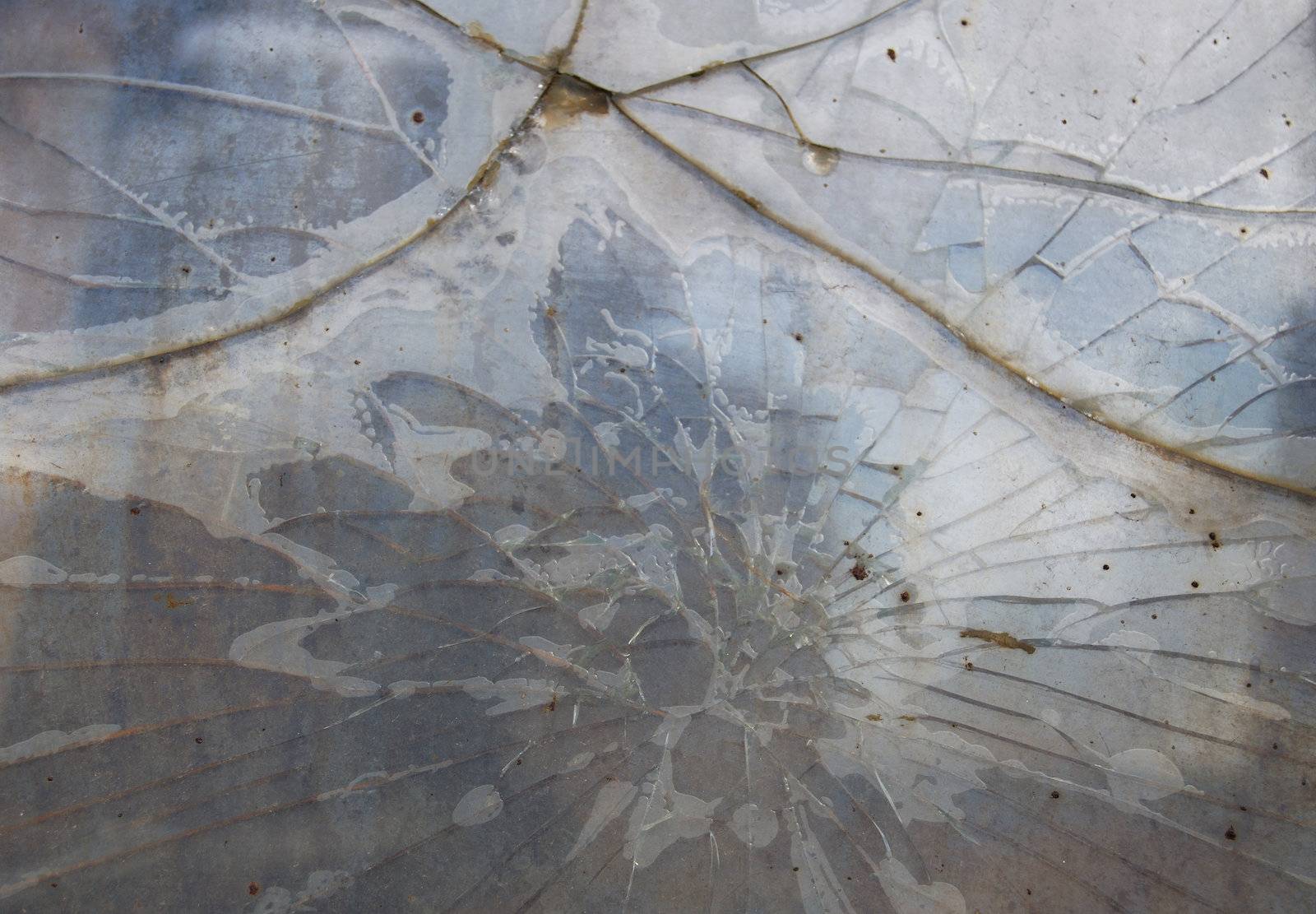 background of a blind window with cracks