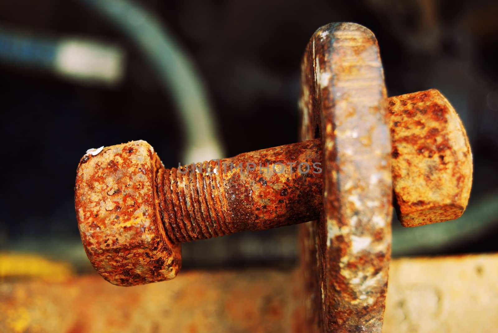closeup of an old rusty loose screw