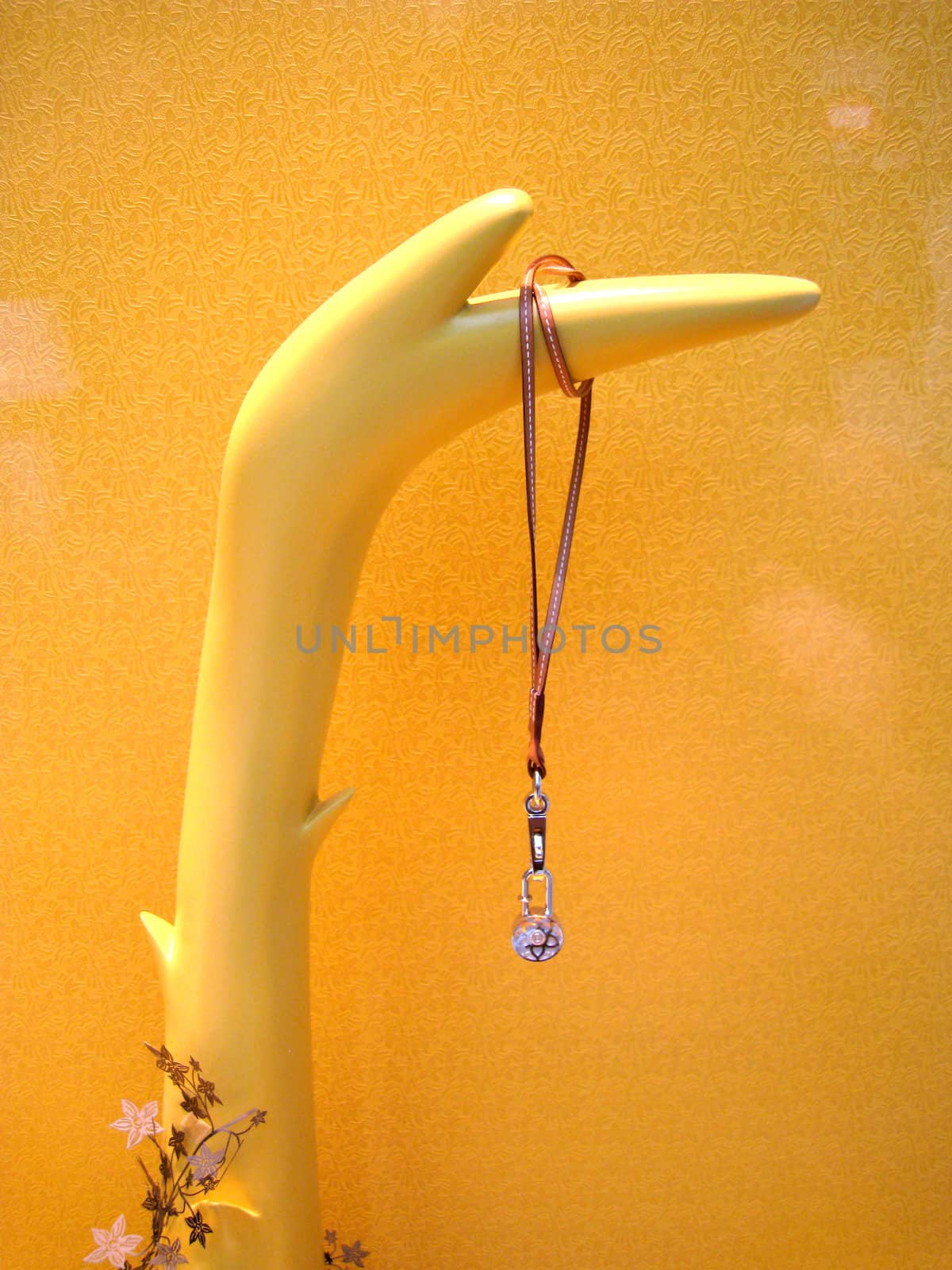 a window display with a necklace hanging on a model hand