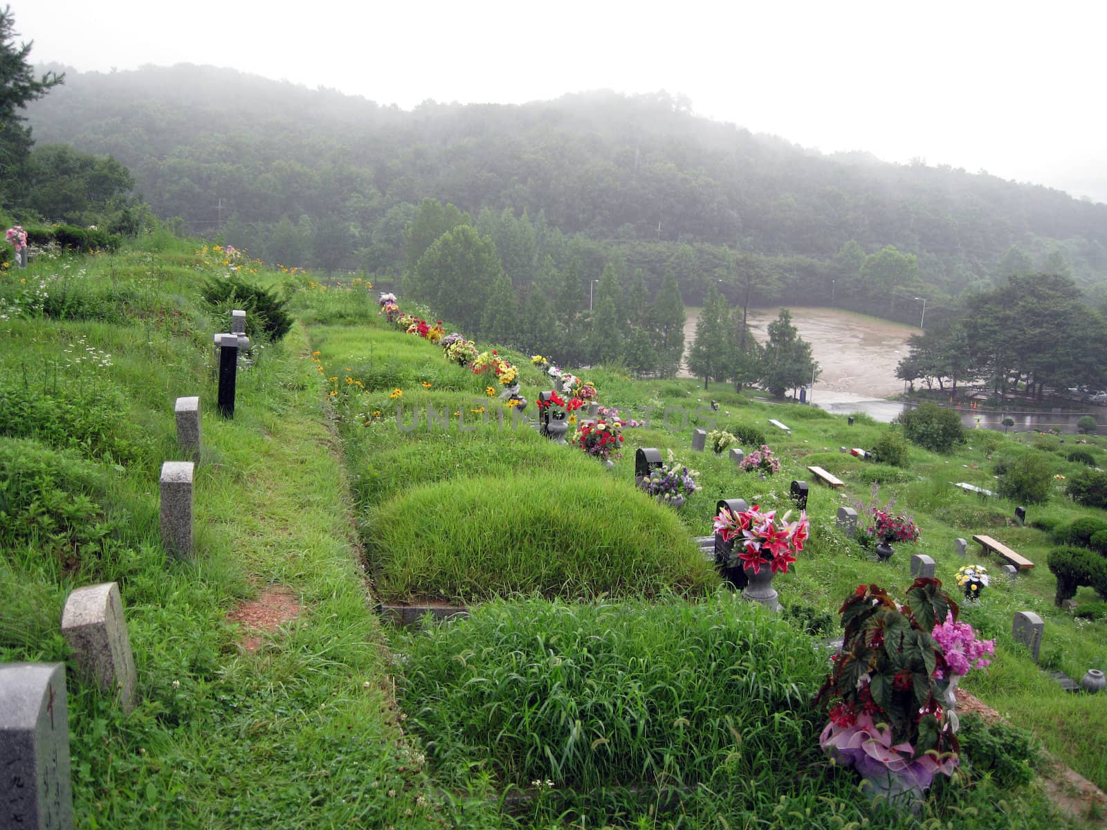 a Christian's graves in Korea