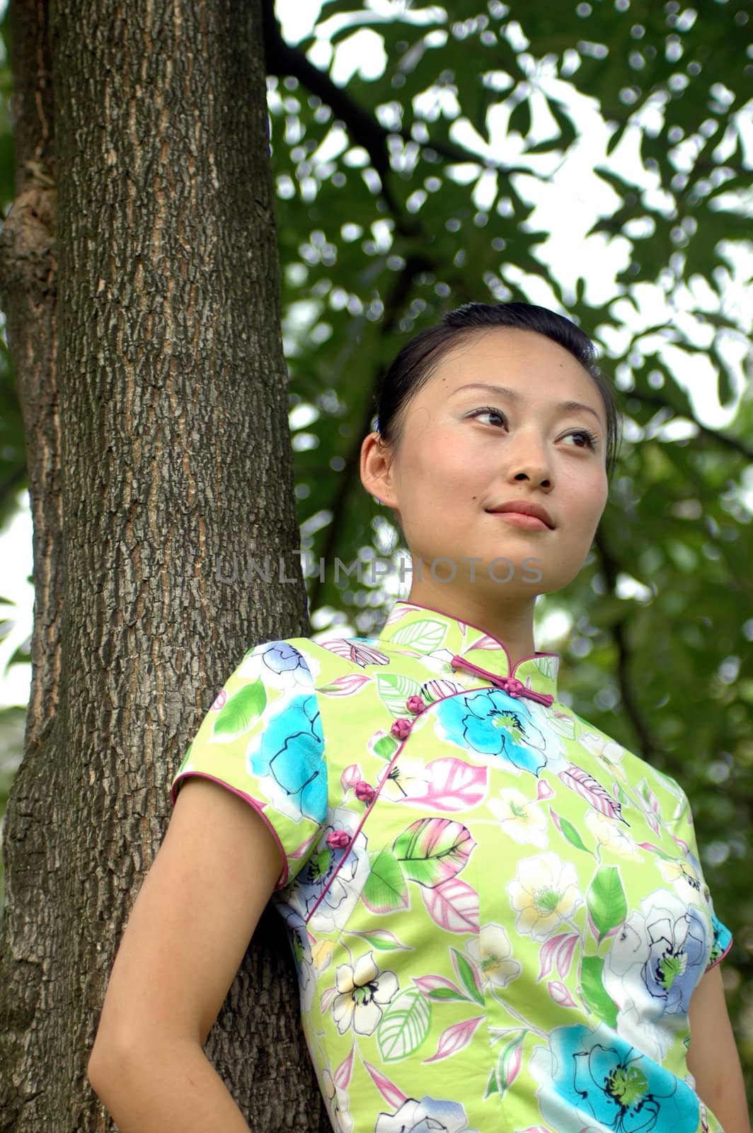 Chinese girl in park. Leaning on tree, kind looks, wearing traditional Chinese dress - qipao.