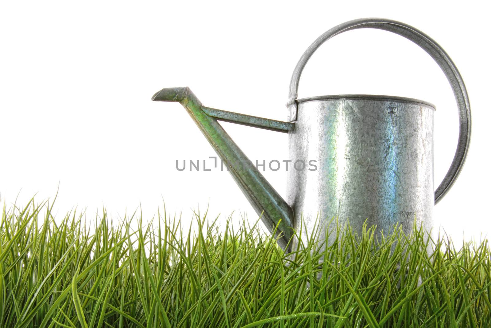 Watering can in grass with white background