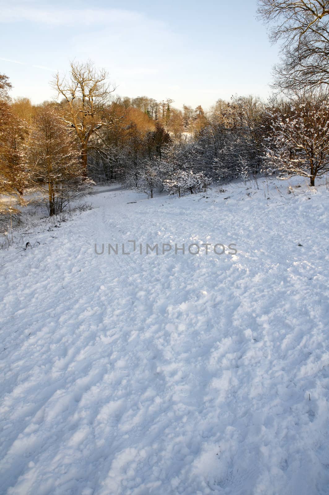 A field covered in snow with trees in the background