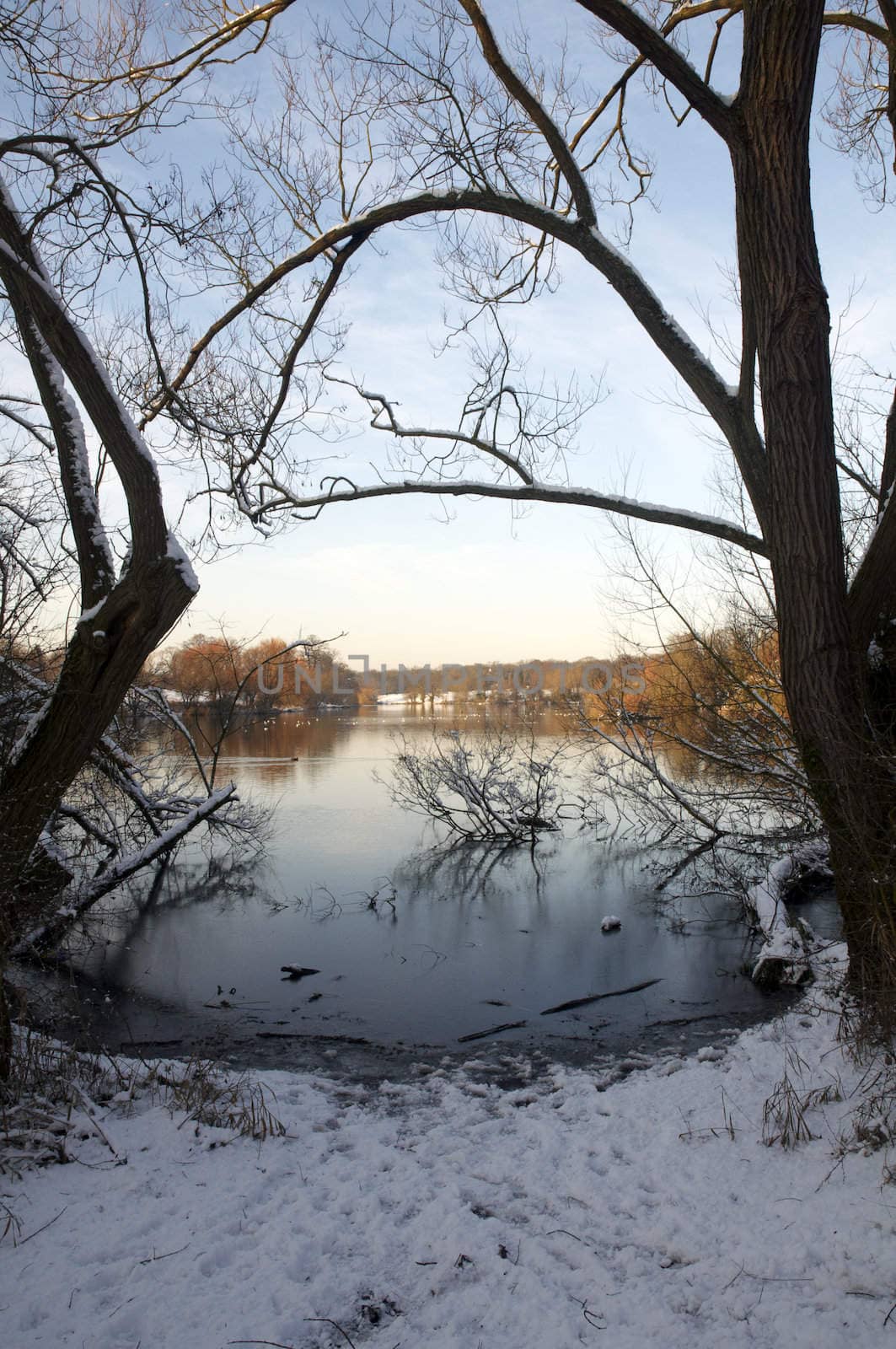 A view of a lake in winter with snow