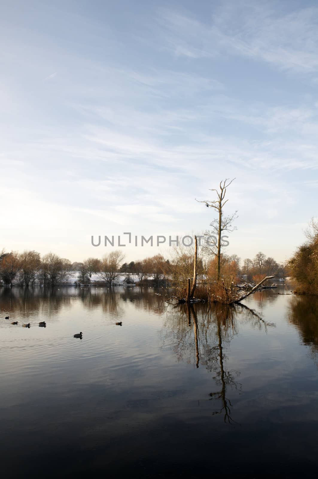 A view of a lake in winter with snow