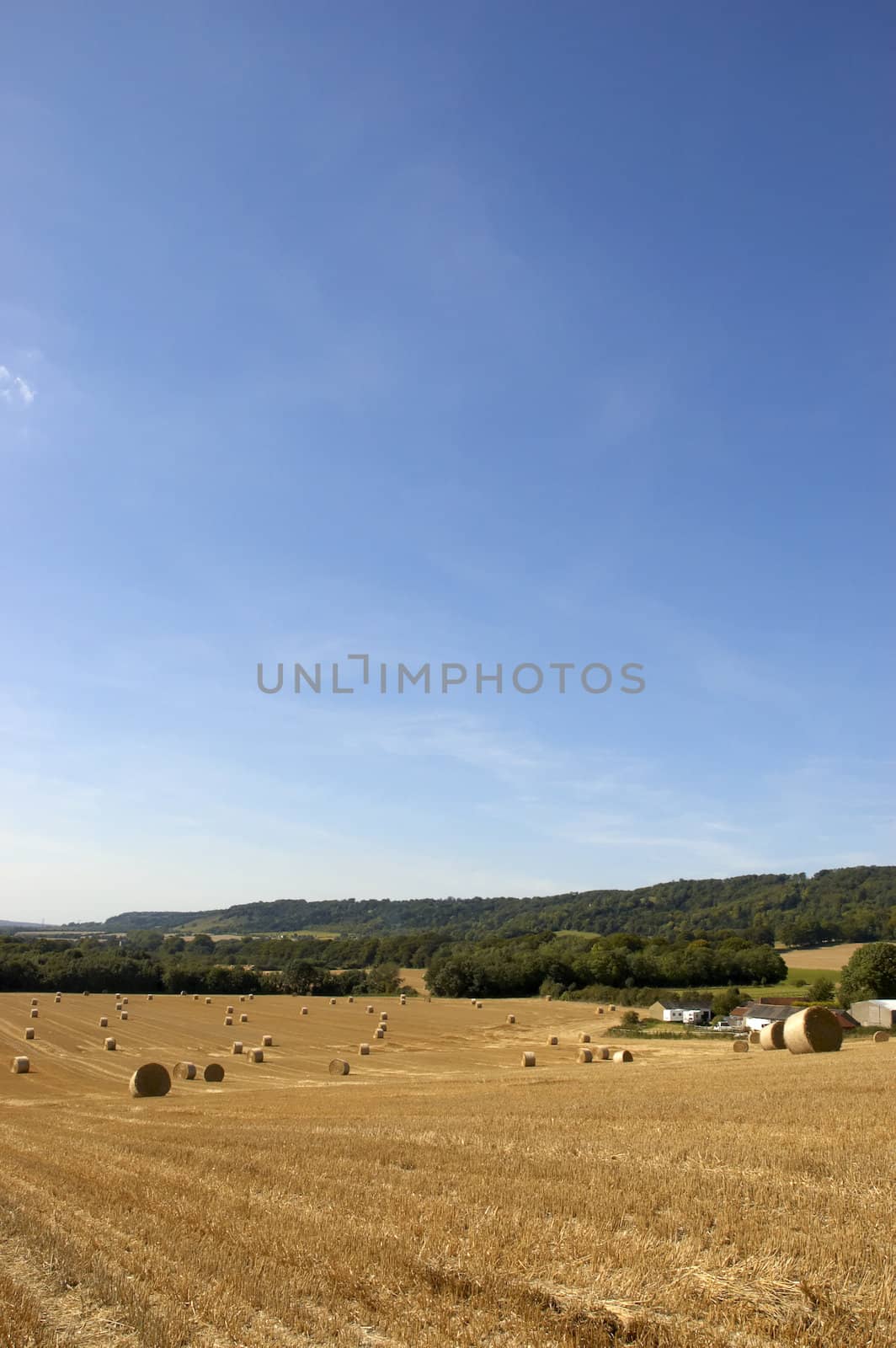 summer landscape with hay bales and deep blue skyscape