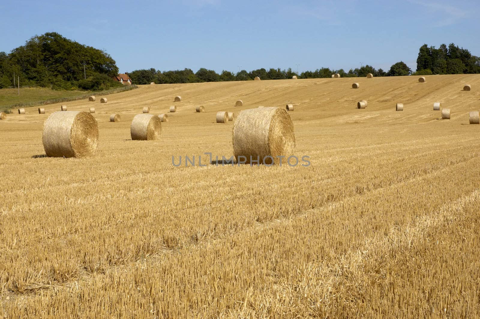 summer landscape with hay bales and deep blue skyscape