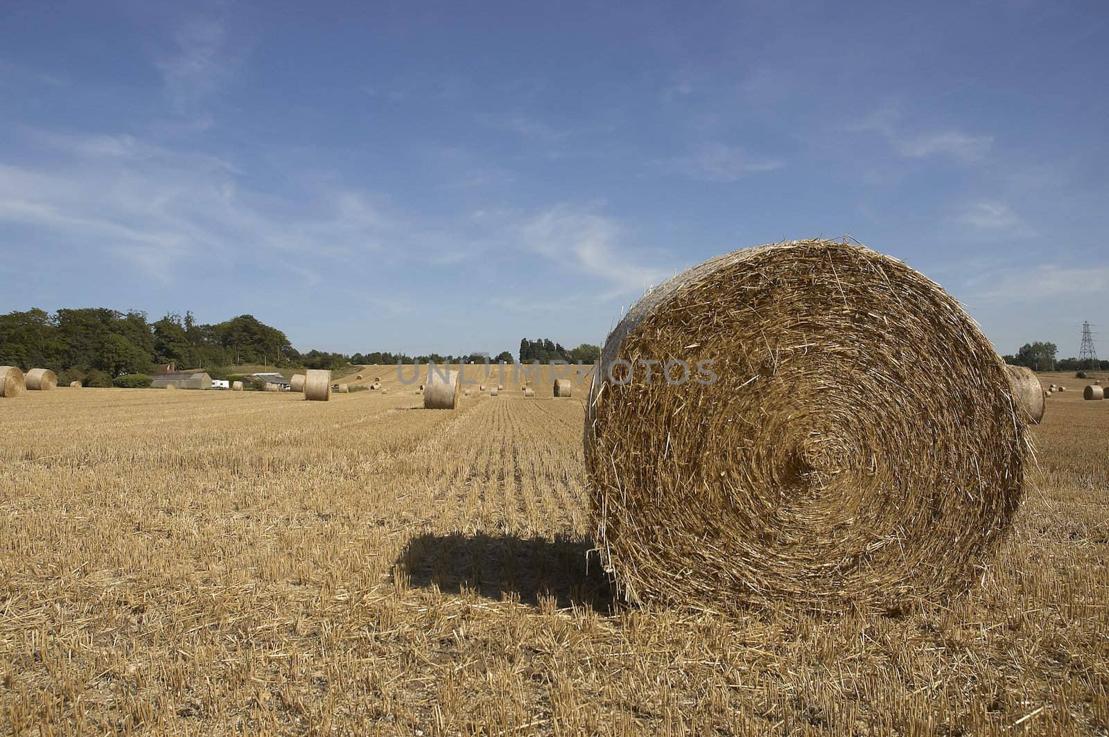 summer landscape with hay bales and deep blue skyscape