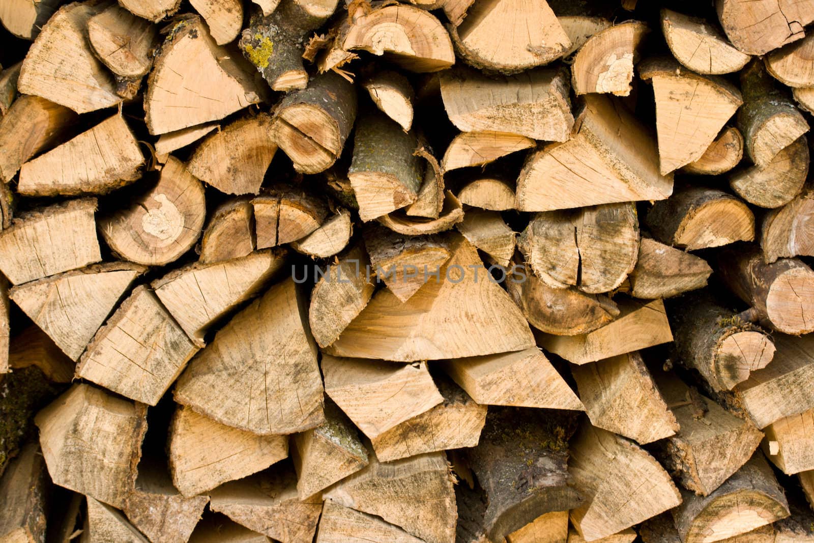 Firewood pile close up