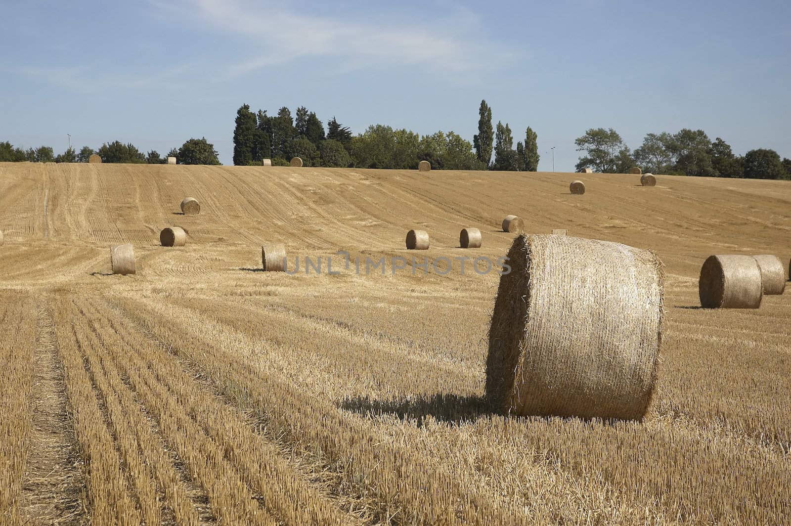 summer landscape with hay bales and deep blue skyscape