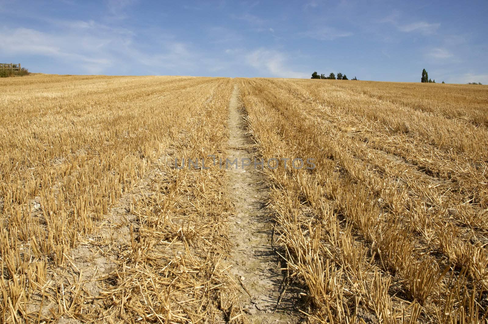 summer landscape with hay bales and deep blue skyscape