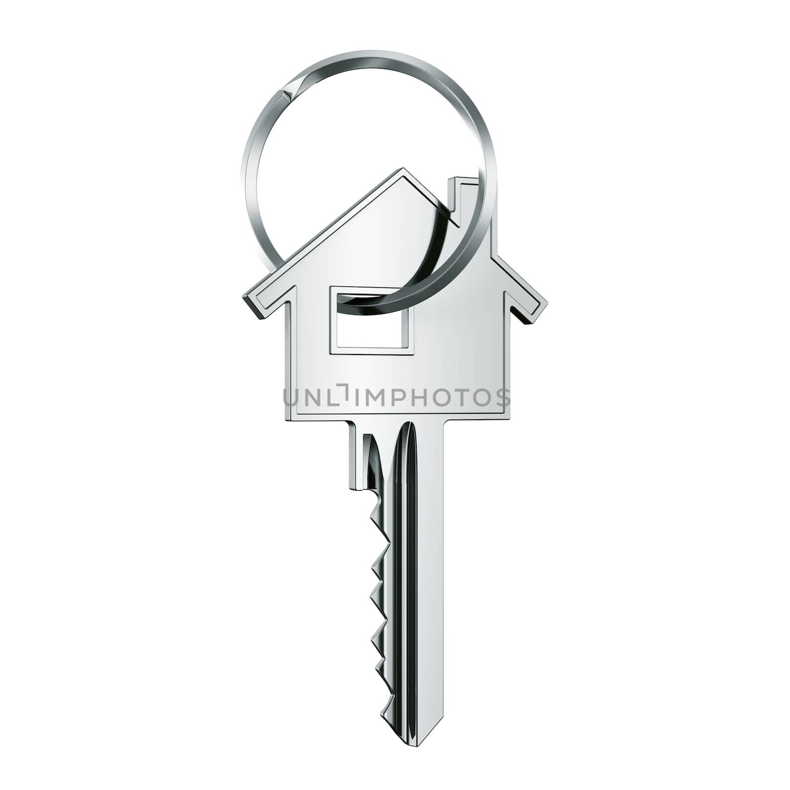 3d rendering of a key in key ring