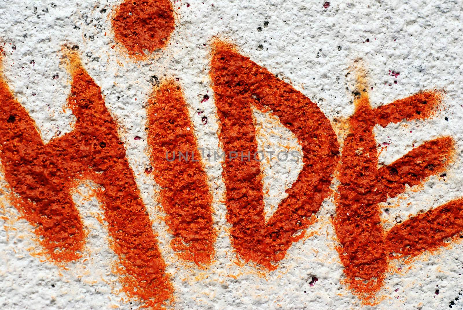 A photograph of the word Hide spray painted on a public wall