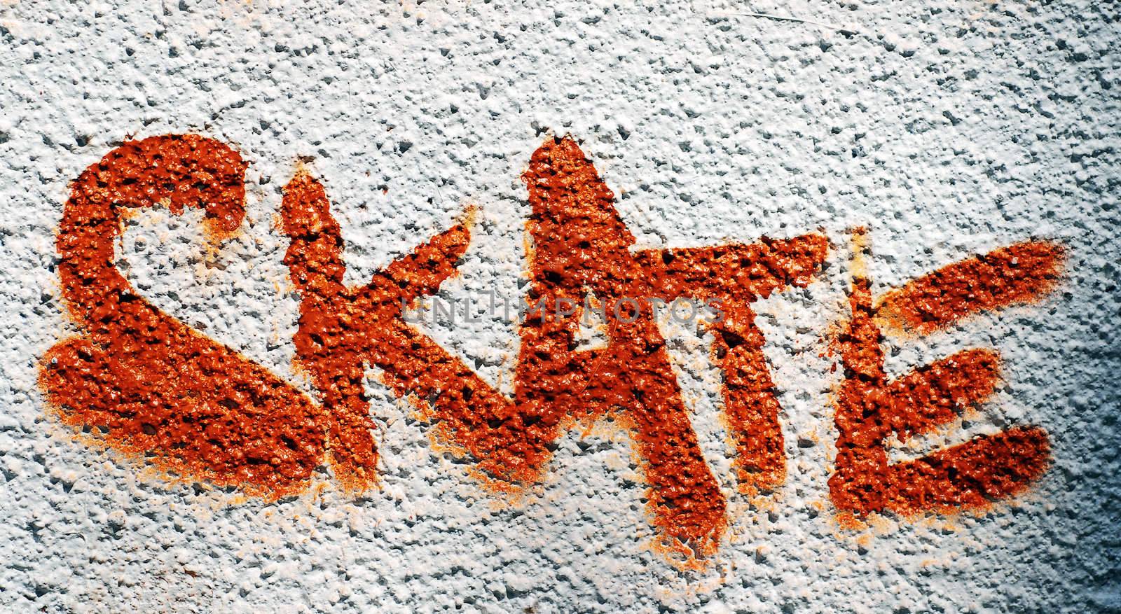A photograph of the word Skate graffitied on the wall of a public skate park.
