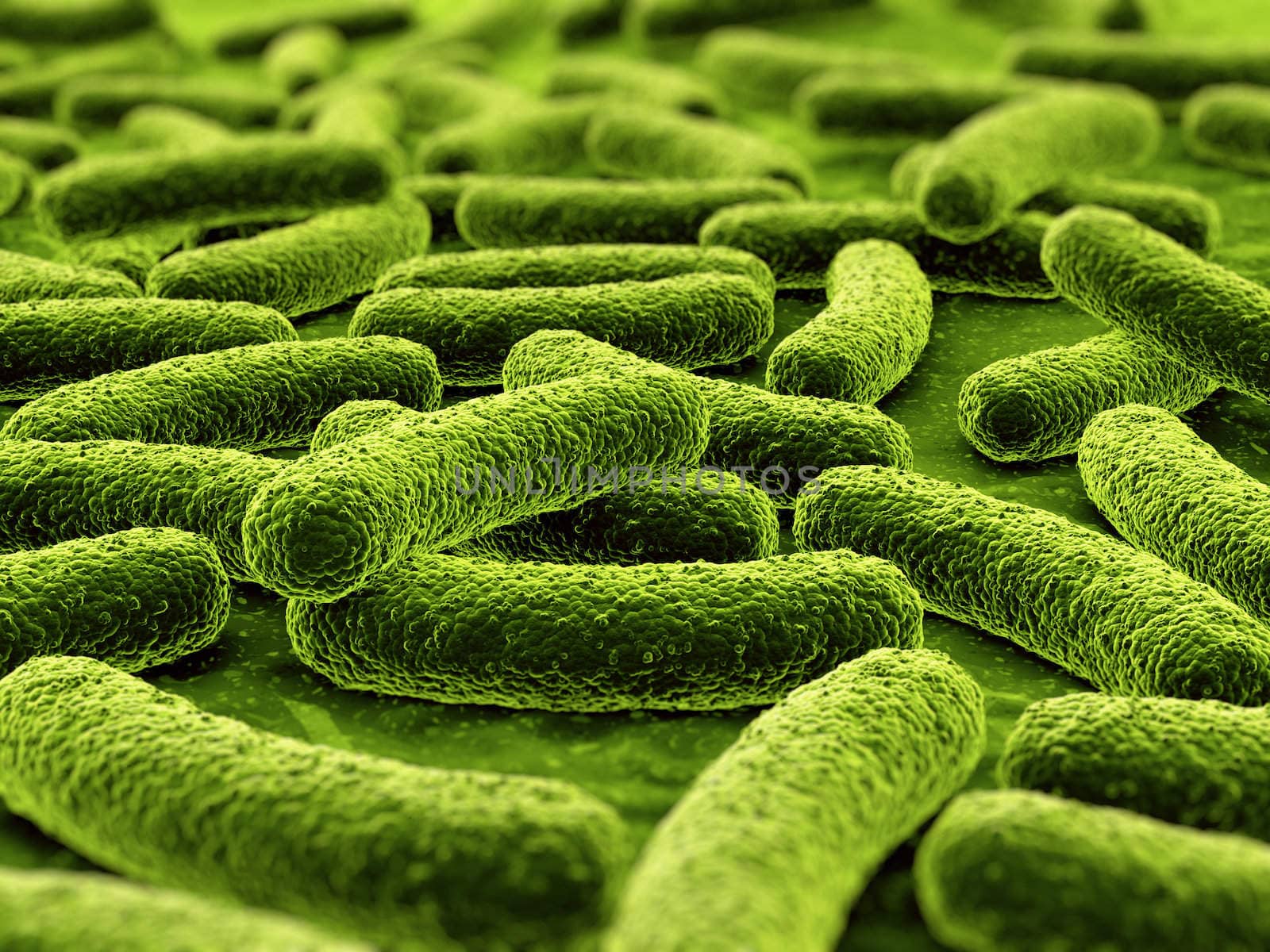3d rendering of a bacteria