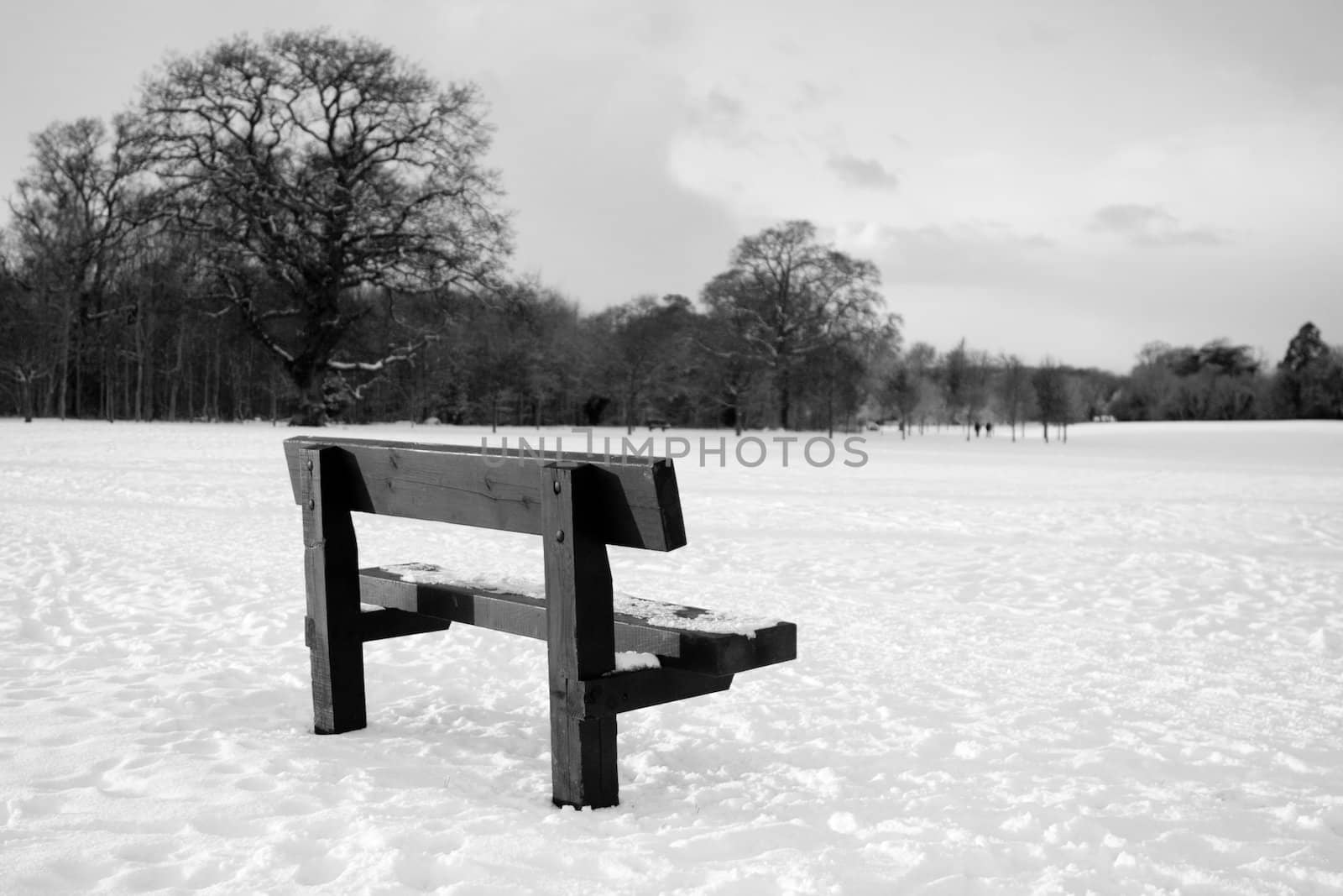 Abandonned bench in a snow filled field with trees in background