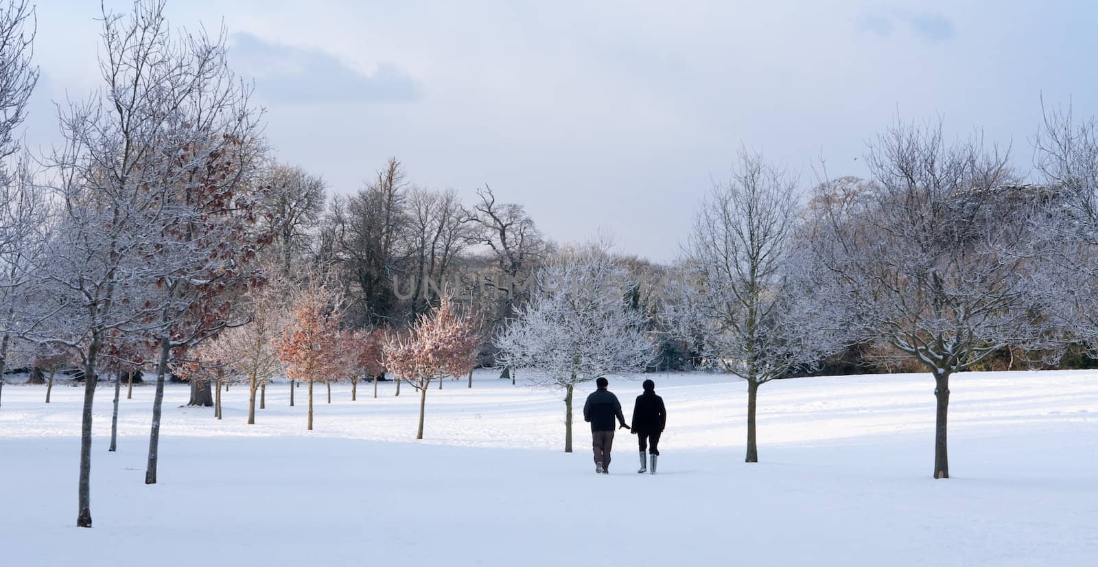 two people walking in a snow filled park among the trees