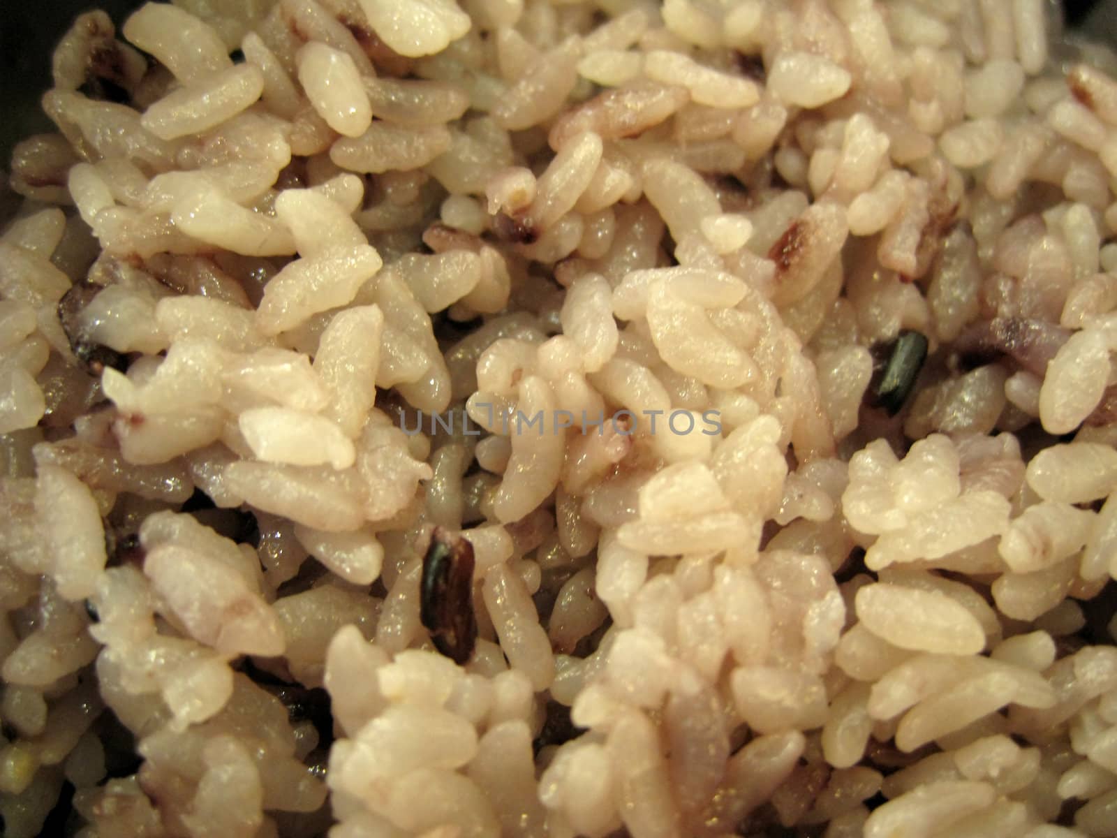 close up for cooked brown rice, detail of food