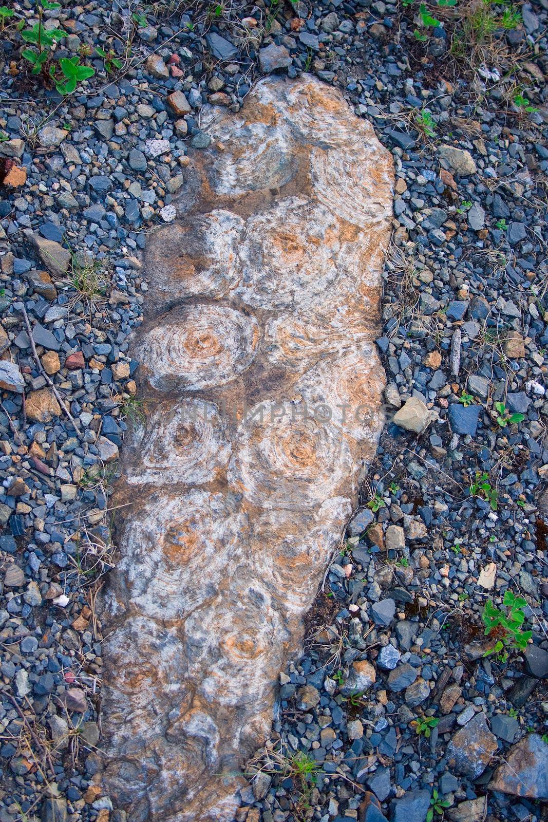 Original structure of stones of the Ural mountains