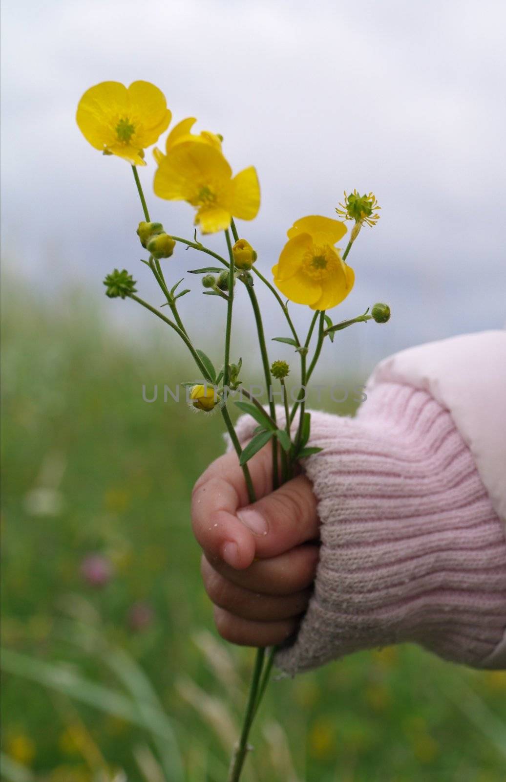 flowers in hand by viviolsen