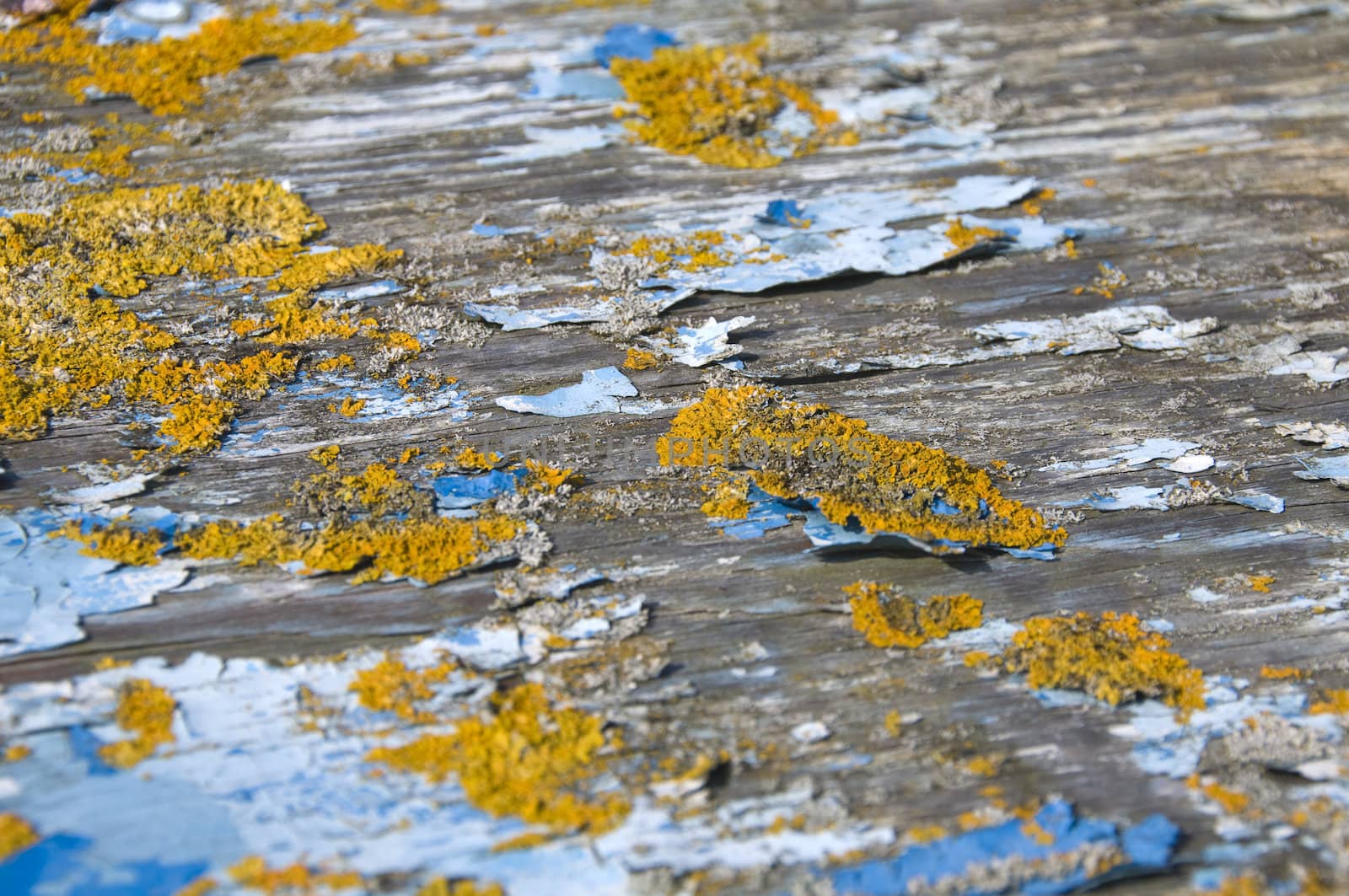 Black and white detail of the peeling paint on the hull of boat