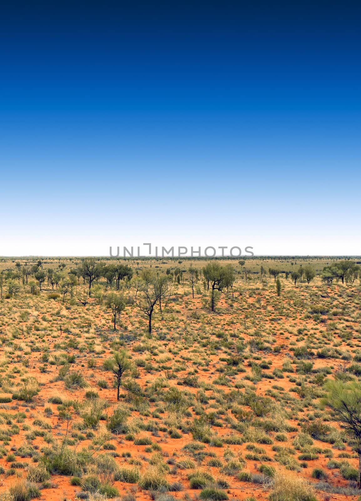 A photography of the australia outback with a deep blue sky