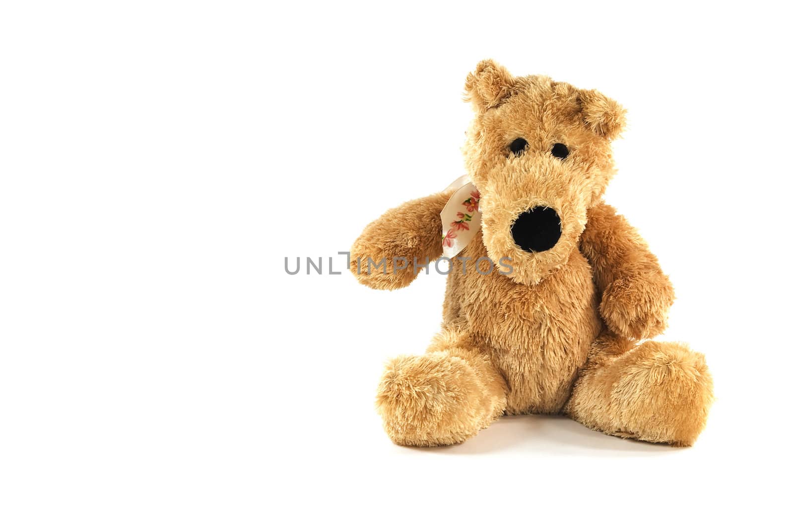 High resolution photo of an isolated plush dog.