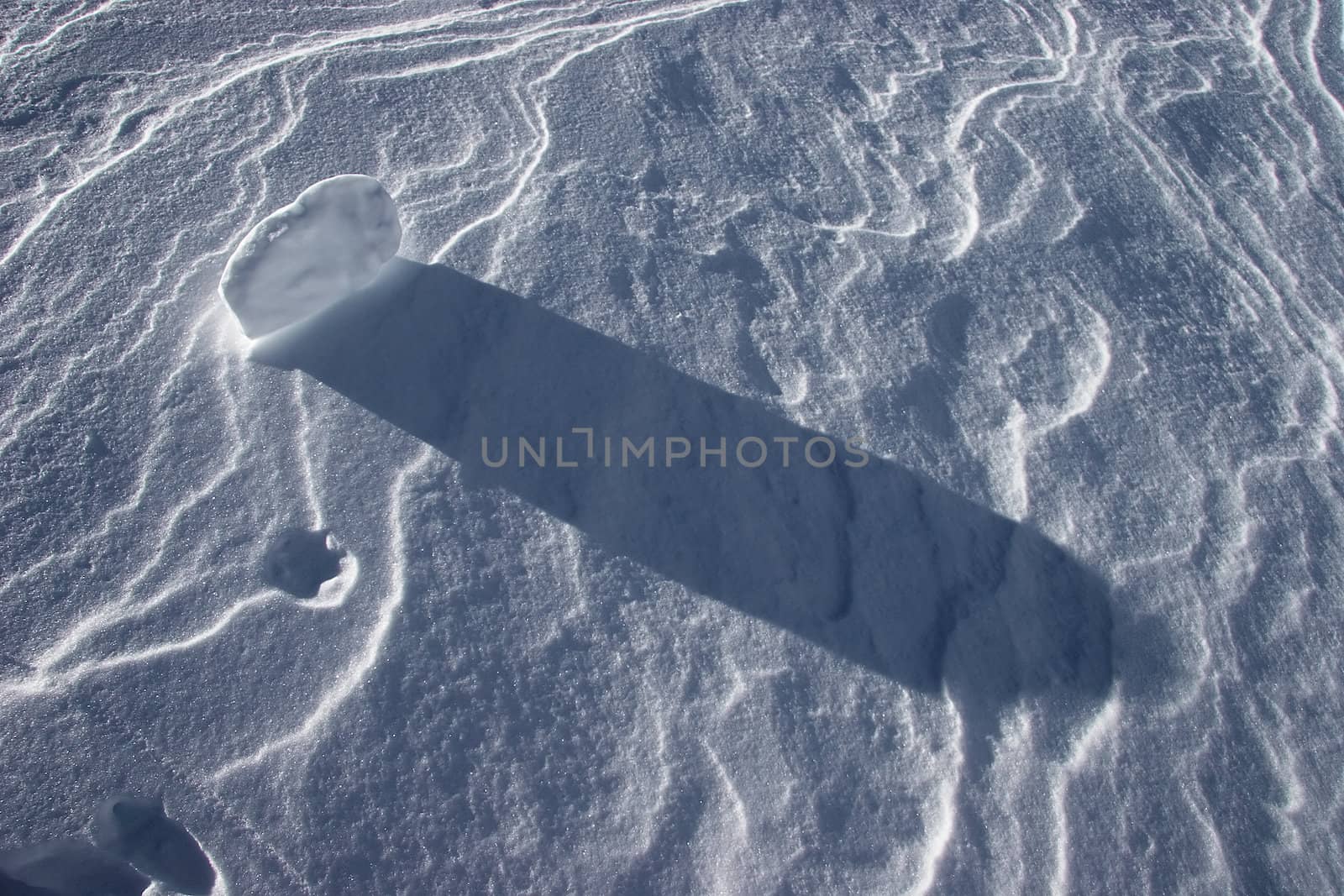 Snow surface with patterns created by strong winds.