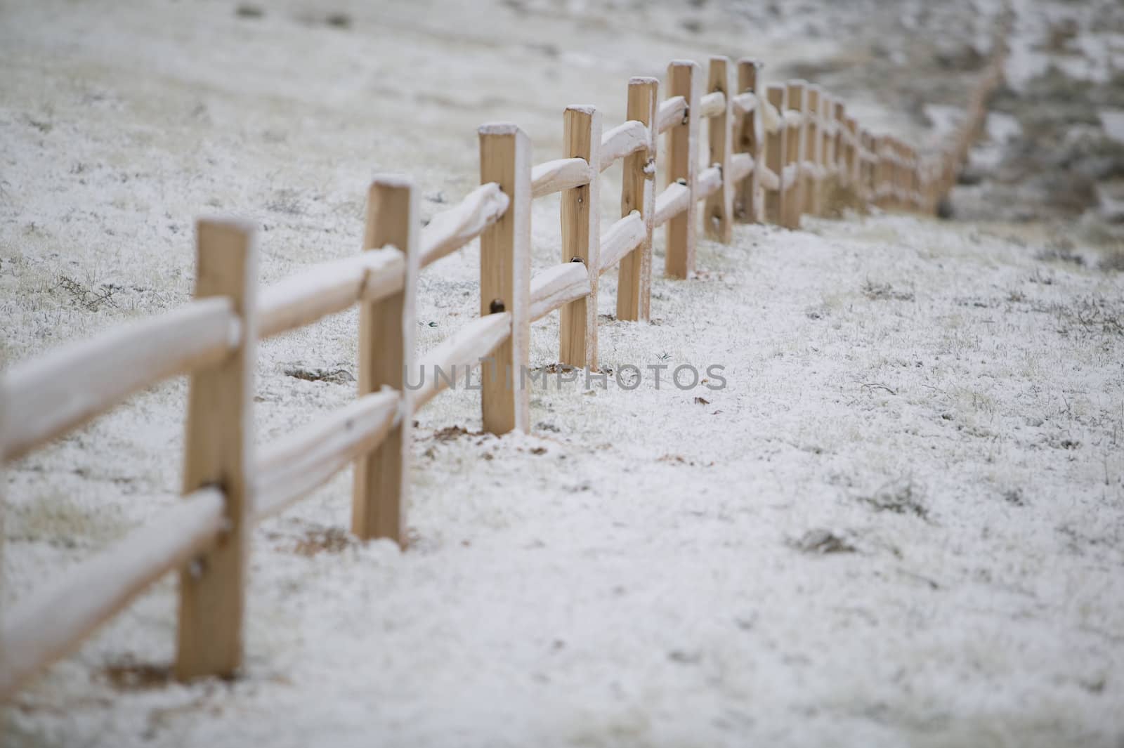 New cedar split rail fence, shot on a winter morning, under a sunless sky.